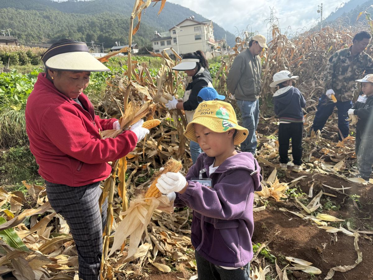 【至善基金會 | 雲南辦事處】掰包穀比賽