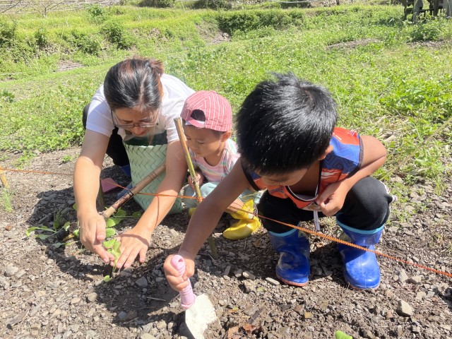陪著台灣原鄉的孩子種菜 一起親近土地